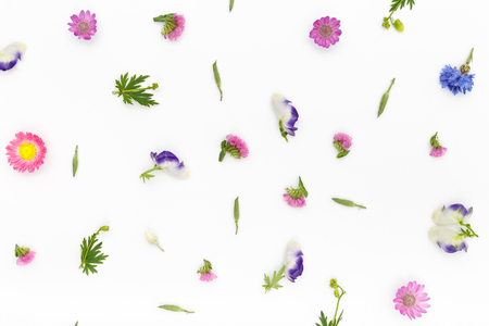 Composition flowers on white background. Top view, flat lay patternの写真素材