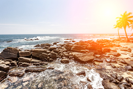 Palm tropical beach. landscape rocky coast ocean. Sri Lanka.の写真素材