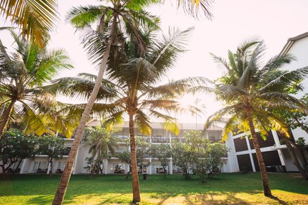 Beautiful landscape, tropical palm beachの写真素材