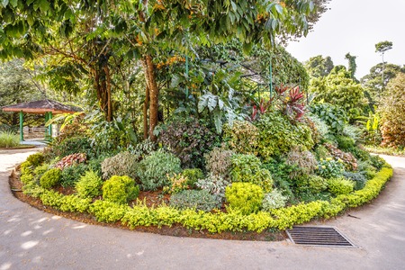 Beautiful landscapes in Peradeniya, Sri Lankaの写真素材