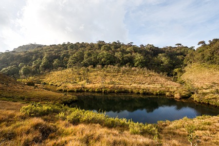 Beautiful tropical landscape in Horton Plains National Park, Sri Lanka.の写真素材