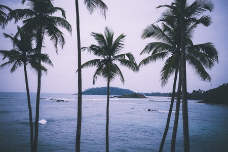 Beautiful morning landscape tropical beach. Mirissa Beach. Sri Lanka.の写真素材
