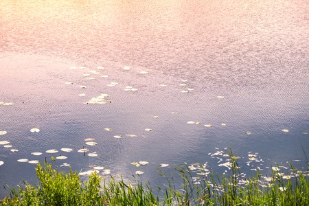 Water surface with sunshine. Polluted urban river. Drainage planned in the riverbedの写真素材