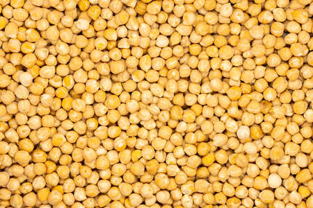 Chickpea, close up, macro, top view. Chickpea is rich source of vitamins, minerals and fiber. Help keep appetite under control, manage weight and benefit digestion.の写真素材