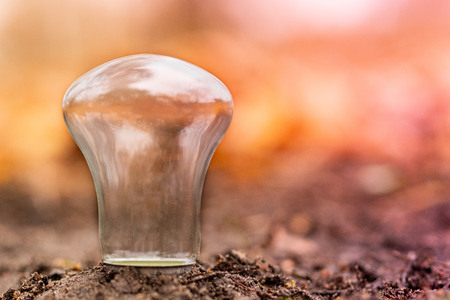 Empty Lightbulb in the ground with copy space for design. Autumn backgroundの写真素材