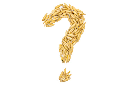 Oat seeds, question mark, close up, macro, top view. Oat seeds use for planting or animal feed.