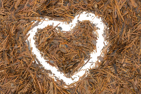 Lapacho herbal tea, heart-shaped, close up. Healthy South American tea drink used as natural antibiotic, anti-aging effect and boosts the immune system.の写真素材