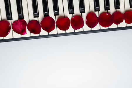 Piano keys with red rose flower petals, isolated, top view, copy space. Romantic concept. Piano or synthesizer keyboard. Classical music instrument for playing romantic music.の写真素材