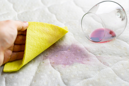 Sponge cleaning wine stain. Dropped wineglass. Spilled wine on white couch. Routine housework.の写真素材