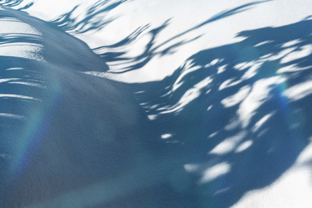 Trees shadows on clear snow. Clean fresh air and wild forest around. Snow will melt soon. Winter fairytale in sunny weather.の写真素材