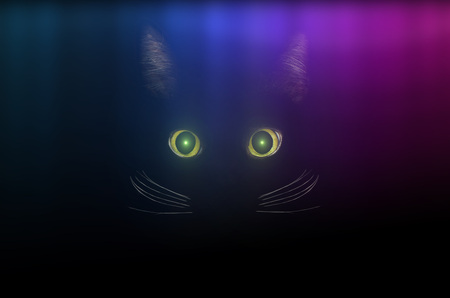 Black cat concept, dark mysterious style. Yellow cat eyes in the dark night. Beautiful animal portrait. Domestic pet concept.の写真素材