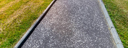 Sidewalk between manicured mowed lawn in public park with light flare.の写真素材