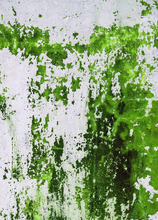 Old concrete wall stained with green paint. Design texture for house interior or wallpapers.の写真素材