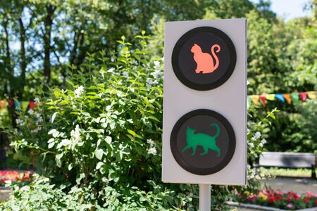 Traffic light with cats. Funny traffic light concept for children and parents in city garden. Green...