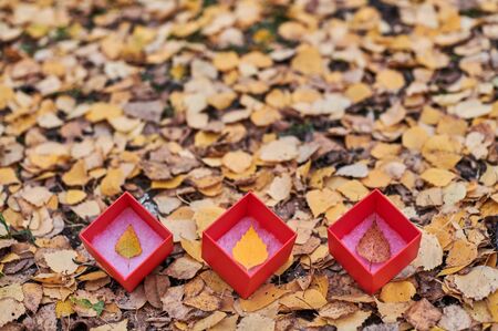 Three box with autumn leaves. Seasons of year change concept, copy space. Weather forecast change...