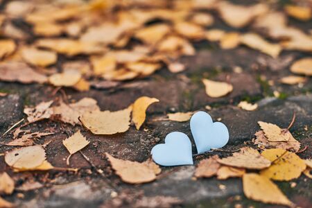 Two hearts on autumn path. Love or friendship concept. Symbol of marriage, honeymoon and Valentine...
