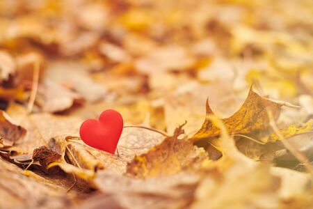 Heart on autumn leaves. Infatuation or unrequited romantic love concept. Symbol of one-sided...