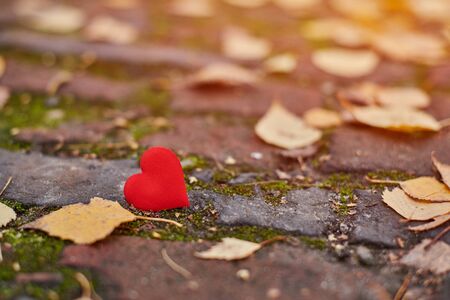 One heart on autumn path. Unrequited, one-sided love or loneliness concept. Symbol of unrequited love victims of Valentine day. Beautiful autumn background, copy space.の写真素材
