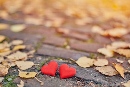 Two hearts on autumn path. Love or friendship concept. Symbol of marriage, honeymoon and Valentine day. Beautiful autumn background, copy space.の写真素材