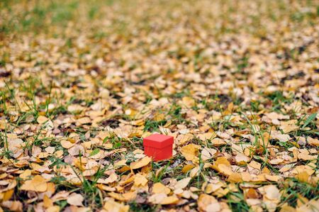 Gift box in autumn leaves, copy space. Gift for special occasion: anniversary, birthday, wedding, honeymoon, Christmas or Valentines day.の写真素材