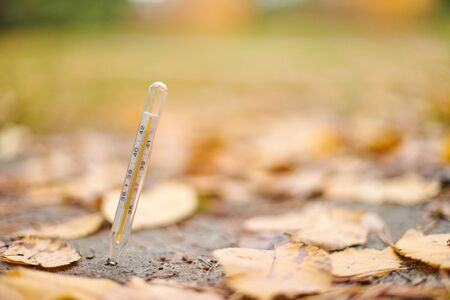 Autumn flu illness concept. Thermometer on autumn leaves background. High risk of flu.