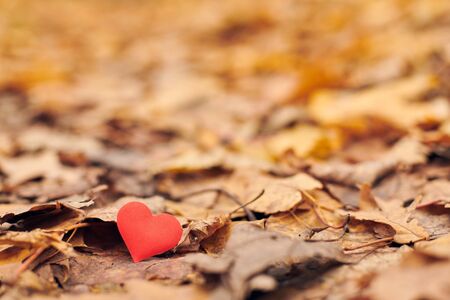 Heart on autumn leaves. Infatuation, one-sided romantic love concept. Symbol of unrequited love victims of Valentine day. Beautiful autumn background, copy space.の写真素材