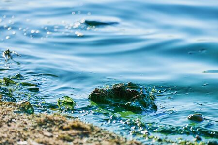 Environmental water pollution. Polluted river - dirty green water, garbage, waste and trash. Harmful...