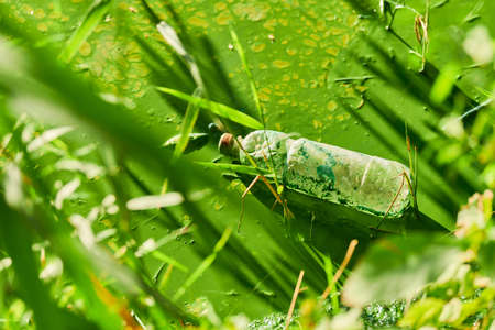 Environmental water pollution. Polluted river - dirty green water, garbage, waste and trash. Harmful...