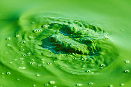 Environmental water pollution. Polluted river - dirty green water, garbage, waste and trash. Harmful...