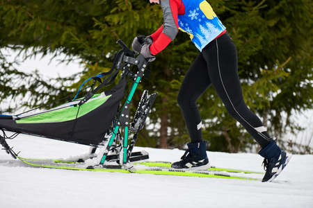 Husky sled dog racing. Winter dog sport sled team competition. Siberian husky dogs pull sled with...
