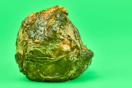 Rotten lemon, green background. Mold putrefied fruit yellow and green lemon. Unsuitable inedible...
