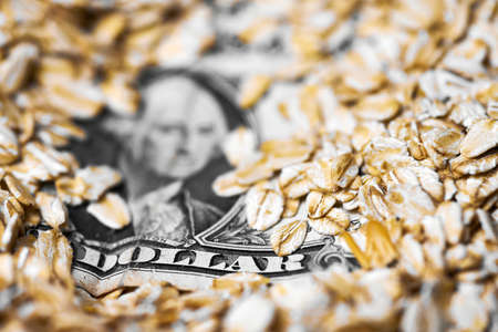 Dollar money in oat flakes. Oat export prices, economic concept. Decrease or increase in price of rolled oats production. American dollar in scattering of oatmeal groats.の写真素材