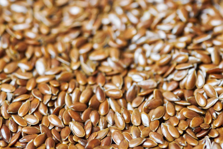 Flaxseed, linseed close up. Bunch of Linum usitatissimum - common flax seeds. Healthy vegetarian nutritional additive for diet.の写真素材