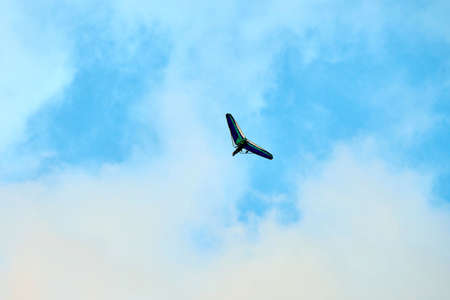 Powered hang glider flying in blue sky, motorized hang glider, ultralight trike overhead view, copy...