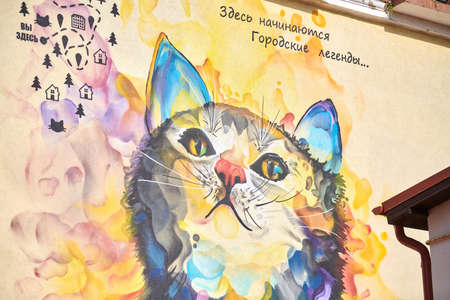Zelenogradsk, Russia - 07.30.2021 - Colorful graffiti cat on house wall. Cute multicolored kitten...