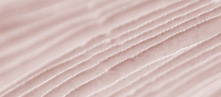 Agaric mushroom gills under cap macro close up photo, depth of field photography. Abstract macro background with pale pink mushroom lamella for web banner designの写真素材