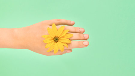 Yellow flower wedding ring jewelry on woman hand, flower head on female hand isolated on green background, right copy space. Delicate salon manicure, female skin rejuvenation, virgin girl conceptの写真素材