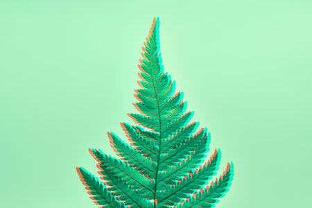 Green fern branch with glitch effect isolated on green background, Polypodiopsida tropical jungle forest foliage plant. Beautiful forest fern branch, creative digital art nature plant conceptの写真素材