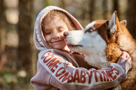 Little girl in hoodie hugs Siberian Husky dog, cute friendly meeting of brown Husky dog and little girl. Happy girl and dog hugs on autumn forest background, child and dog friendshipの写真素材