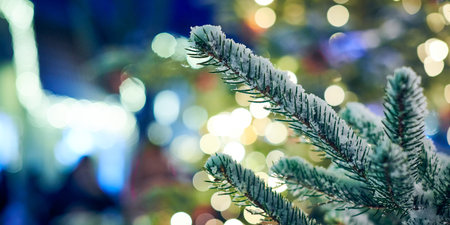 Christmas tree covered snow with yellow garlands lights and bokeh copy space with sparkled lightsの写真素材