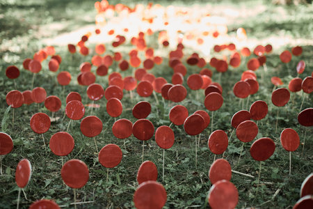 Red lollipops on stick against green grass, outdoor land art objects for environmental conceptの写真素材