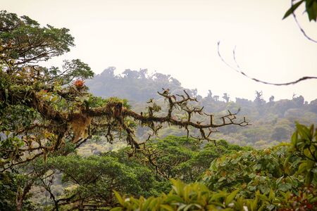 A little insight into the wonderful country in Central America