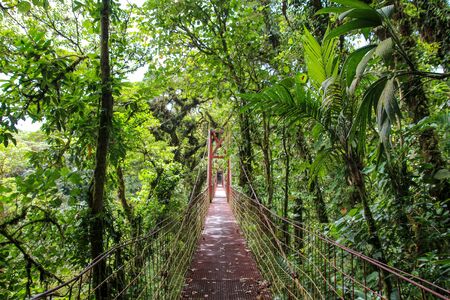 A little insight into the wonderful country in Central America
