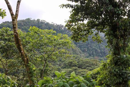 A little insight into the wonderful country in Central America
