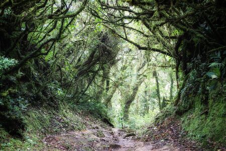 A little insight into the wonderful country in Central Americaの写真素材