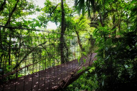 A little insight into the wonderful country in Central Americaの写真素材