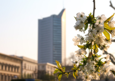 Leipzig is located in the East part of Germany. You can find a lot of historical buildings and nature in this town.のeditorial素材