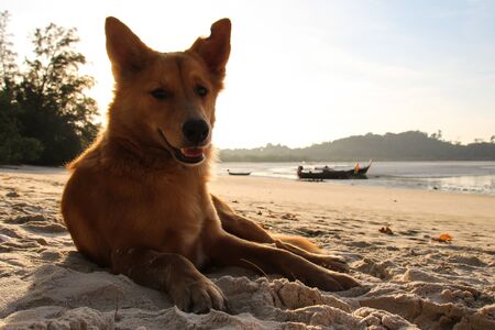 A round trip through Thailand with all its facetsの写真素材