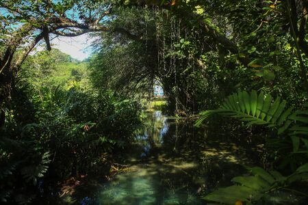 Jamaica boasts white sand beaches, famous scenic waterfalls, blue lagoons and the crystal clear...
