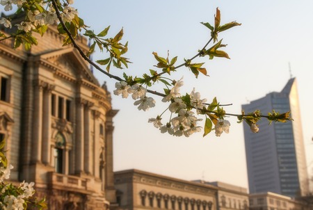 Leipzig is located in the East part of Germany. You can find a lot of historical buildings and nature in this town.のeditorial素材